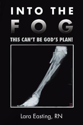 Cover image for Into the Fog