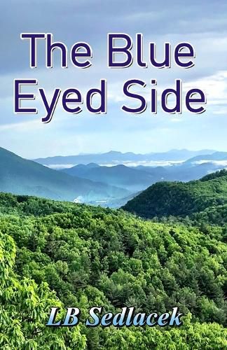 Cover image for The Blue Eyed Side
