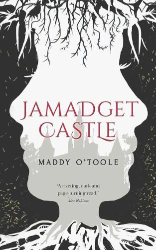Cover image for Jamadget Castle: A Dark Fantasy