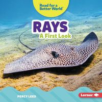 Cover image for Rays: A First Look