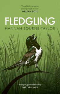 Cover image for Fledgling