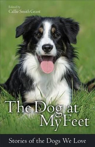 Cover image for Dog at My Feet, The