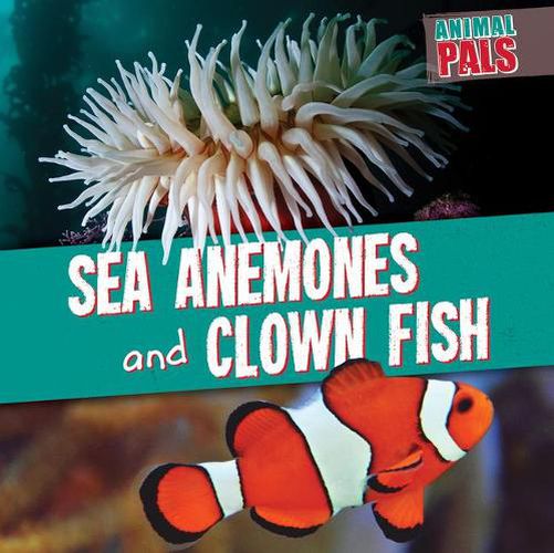 Sea Anemones and Clown Fish