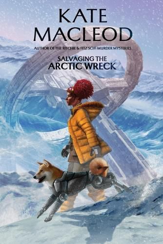 Cover image for Salvaging the Arctic Wreck