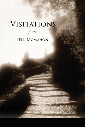 Cover image for Visitations