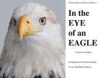 Cover image for In the Eye of an Eagle: A look at the world from above.