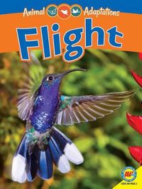 Cover image for Flight