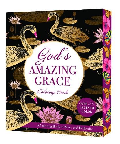 Cover image for God's Amazing Grace