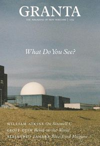 Cover image for Granta 159: What Do You See?