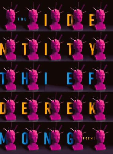 Cover image for The Identity Thief