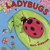 Cover image for Ladybugs