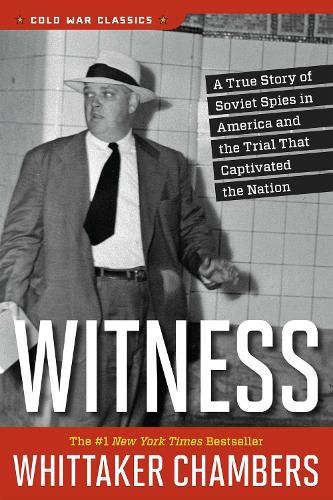 Cover image for Witness