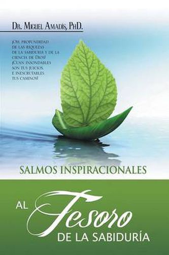 Cover image for Al Tesoro de La Sabiduria