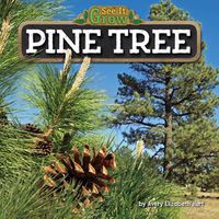 Cover image for Pine Tree