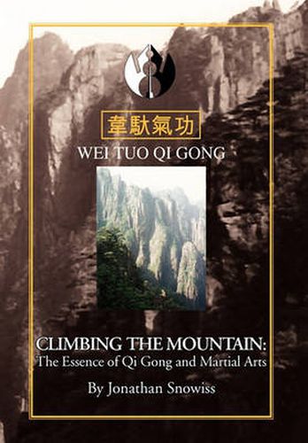 Cover image for Climbing The Mountain
