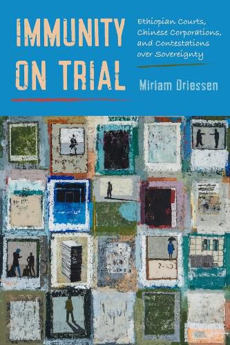 Cover image for Immunity on Trial