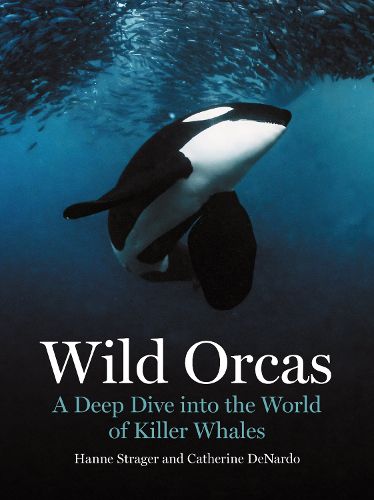 Cover image for Wild Orcas