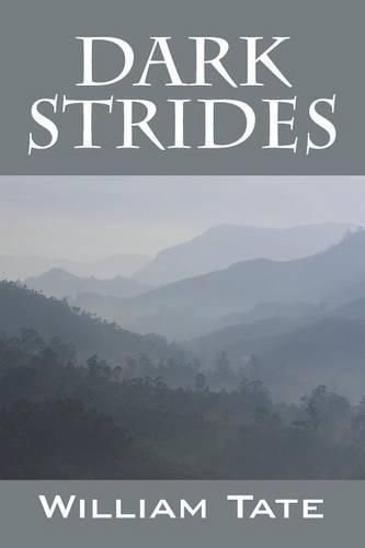 Cover image for Dark Strides