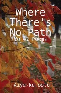 Cover image for Where there's no path