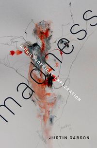 Cover image for Madness