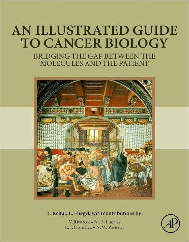 Cover image for An Illustrated Guide to Cancer Biology