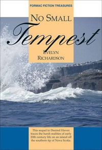 Cover image for No Small Tempest