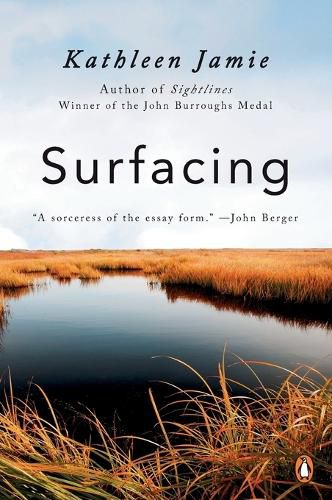 Cover image for Surfacing