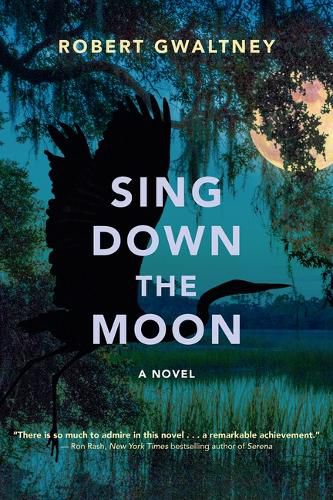 Cover image for Sing Down the Moon