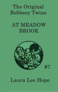 Cover image for The Bobbsey Twins at Meadow Brook