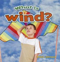 Cover image for What is wind?