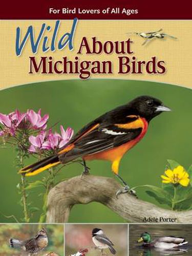 Wild About Michigan Birds: For Bird Lovers of All Ages