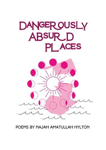 Cover image for Dangerously Absurd Places