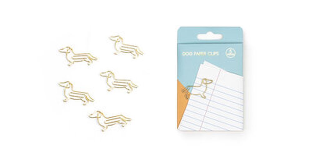 Cover image for Paper Clips  Dogs Suck UK