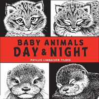 Cover image for Baby Animals Day & Night
