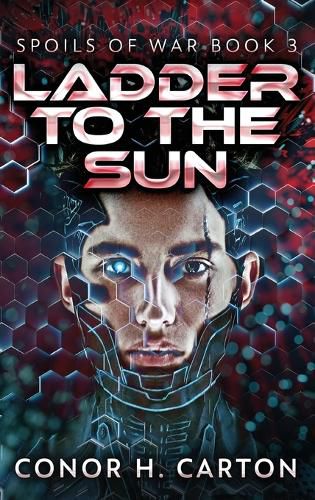 Cover image for Ladder To The Sun