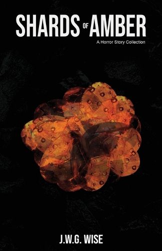 Cover image for Shards of Amber