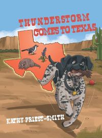 Cover image for Thunderstorm Comes to Texas