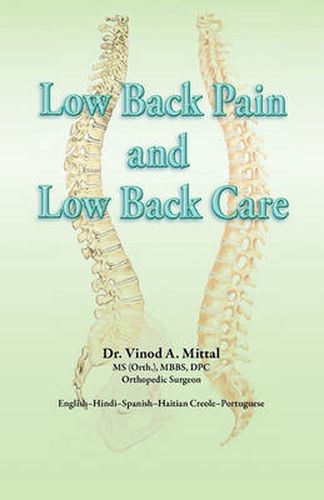 Cover image for Low Back Pain and Low Back Care