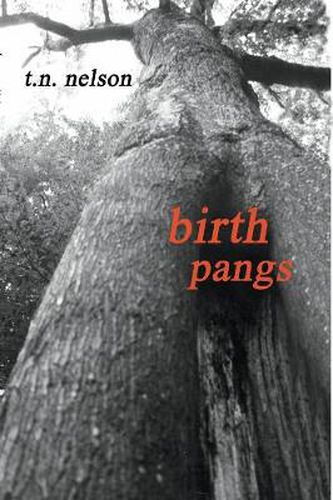 Cover image for Birth Pangs