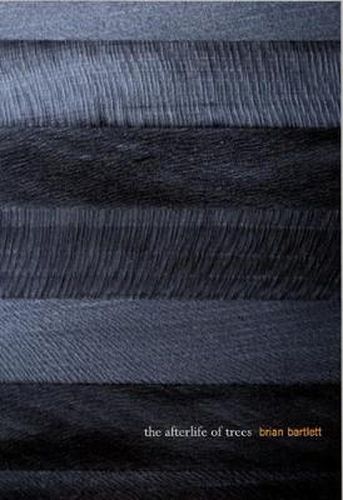 Cover image for The Afterlife of Trees