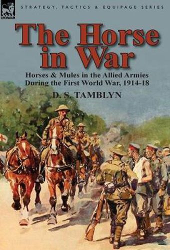 Cover image for The Horse in War: Horses & Mules in the Allied Armies During the First World War, 1914-18