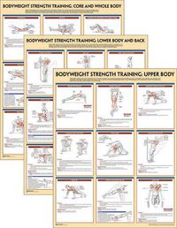 Cover image for Bodyweight Strength Training Anatomy Poster Series