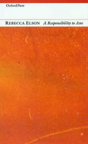 Cover image for A Responsibility to Awe