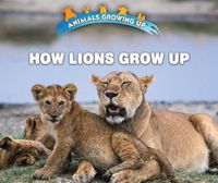 Cover image for How Lions Grow Up