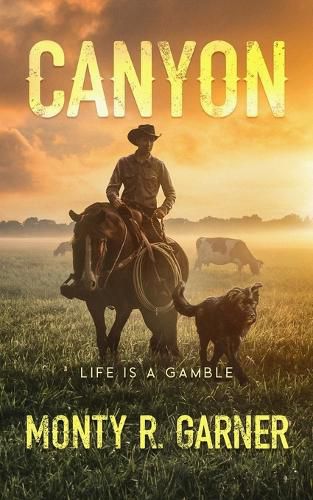 Cover image for Canyon