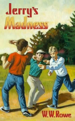 Cover image for Jerry's Madness