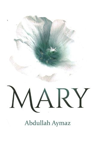 Cover image for Mary