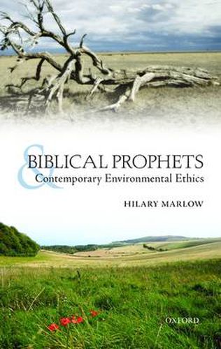 Cover image for Biblical Prophets and Contemporary Environmental Ethics