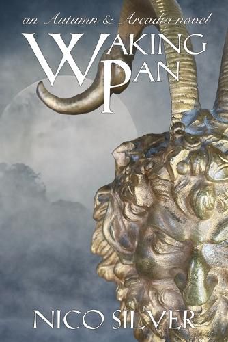 Cover image for Waking Pan