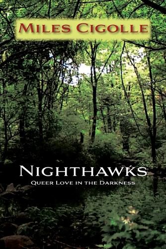 Cover image for Nighthawks